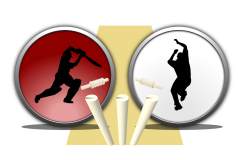 Online cricket game HTML5 not supported logo Online cricket game HTML5 not supported logo